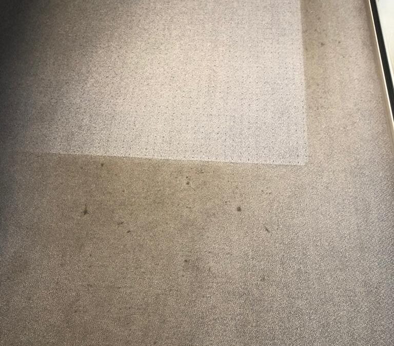 Teppichbodengrundreinigung
